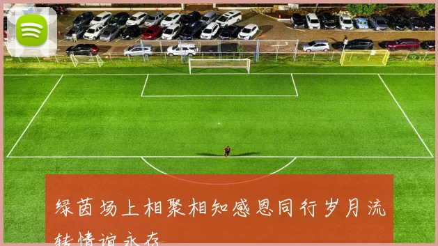 绿茵场上相聚相知感恩同行岁月流转情谊永存
