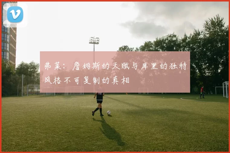 弗莱：詹姆斯的天赋与库里的独特风格不可复制的真相