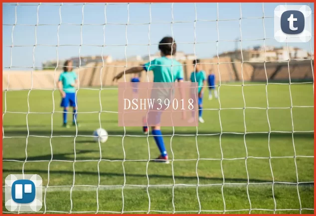 DSHW39018