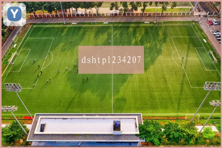 dshtpl234207
